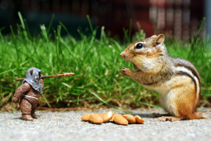 热血战场,穿越火线百城嘉年华等你征服!